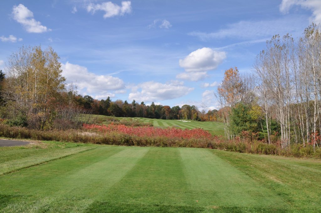 home 1 = view of manicured course green