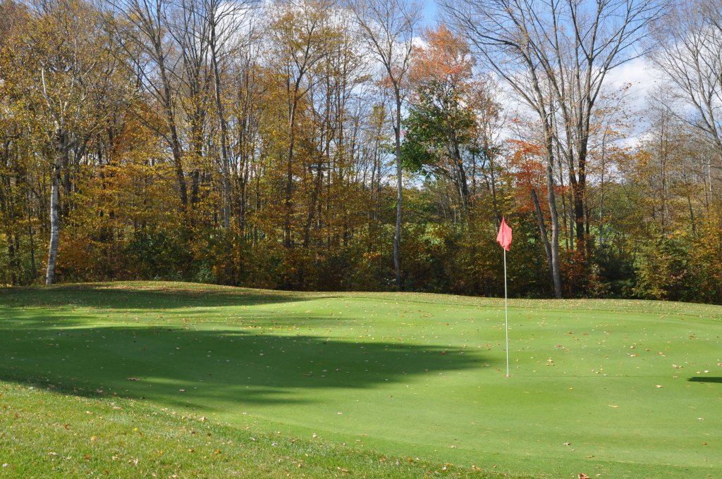 home3 image of golf course with red flag on green